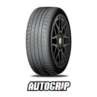 195/55R16 AUTOGRIP P308PLUS 91V XL