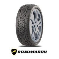 225/55R17 ROADMARCH WinterXPro 888 101H