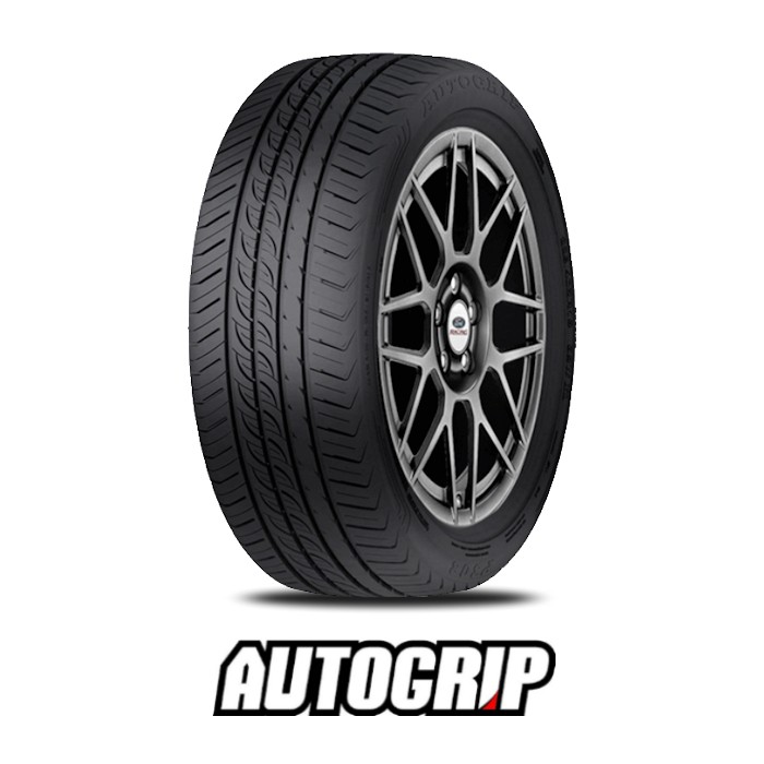 155/65R13 AUTOGRIP P308 73T